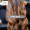 Capa Google (11)